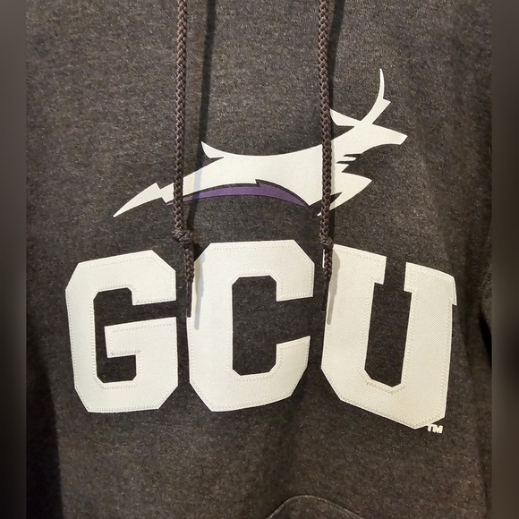 CHAMPION GCU hoodie - Picture 3 of 4